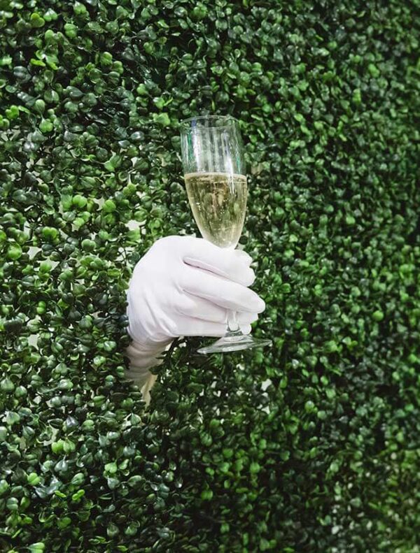 Champagne Wall Rental